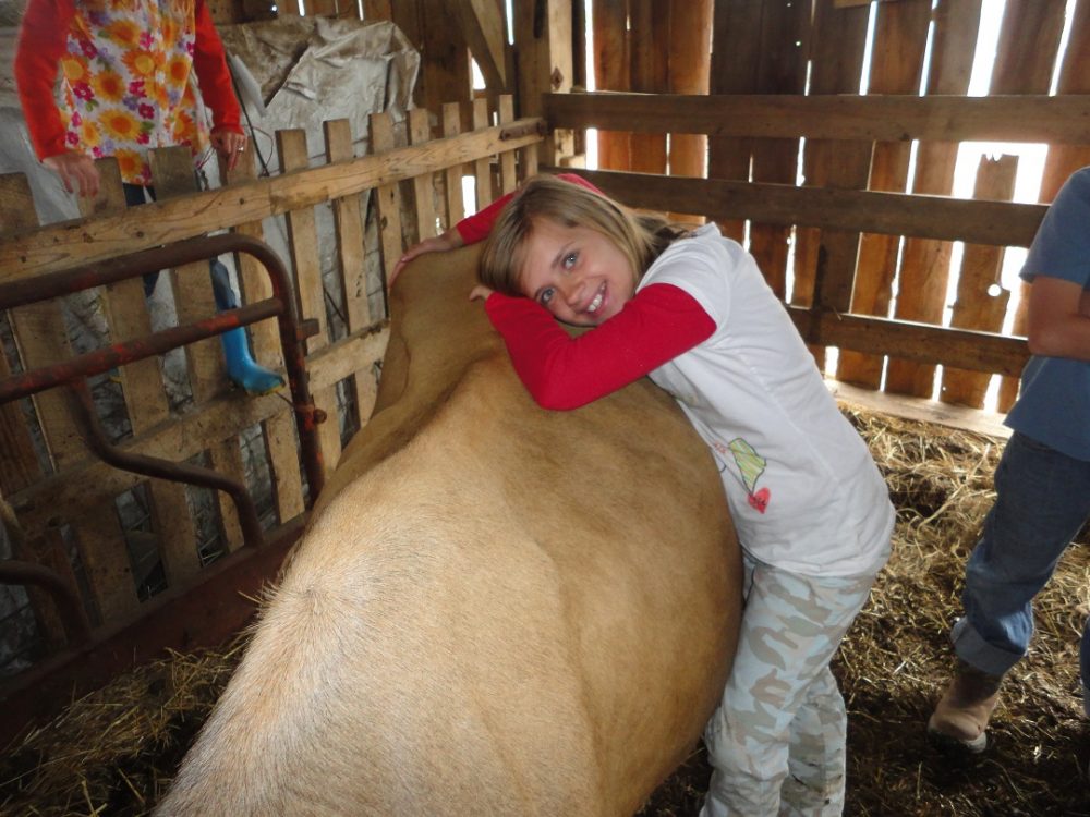 Getting a Family Milk Cow – Part 1
