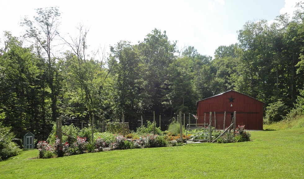 The Voice behind Farm Fresh For Life – Meet Candi!