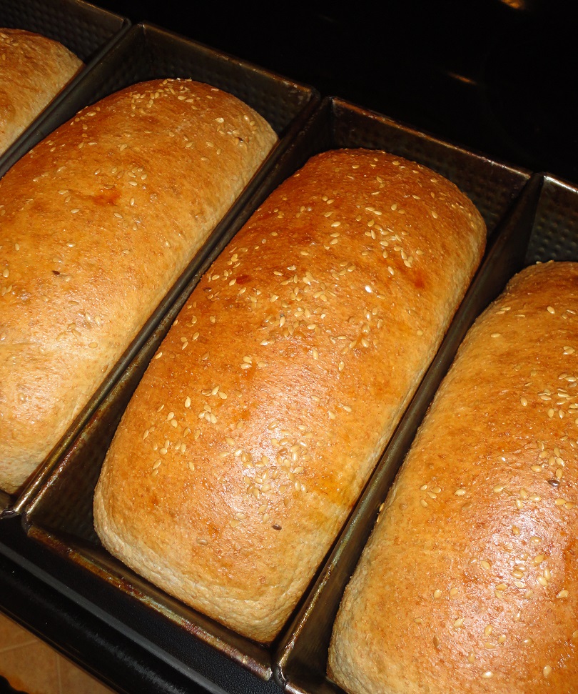 6 Reasons We Raise Our Own Food