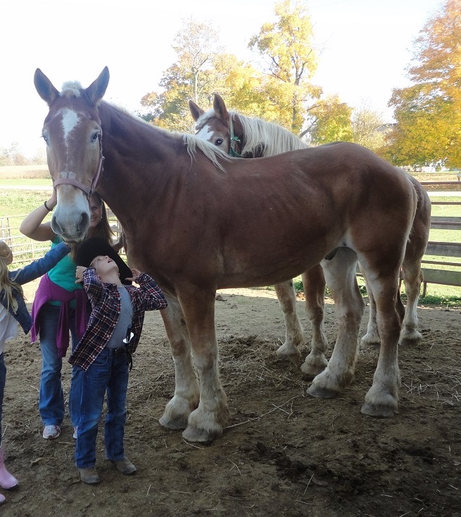 Horses, Hay Rides, Tractors and Kids