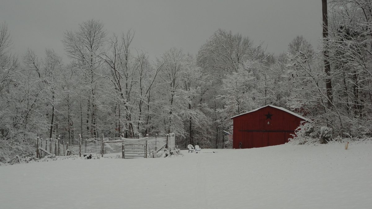 Snow Day!