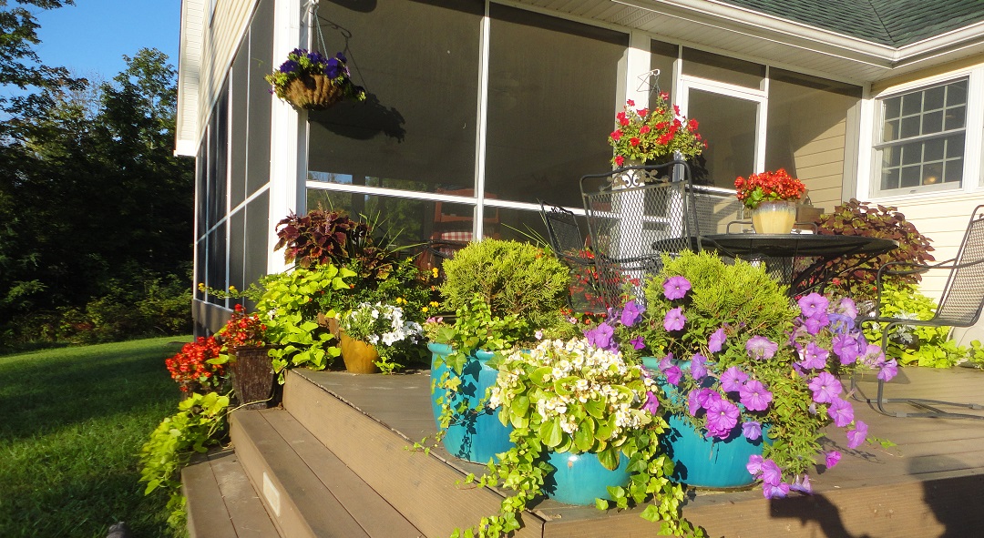 Flower Pots in Fall