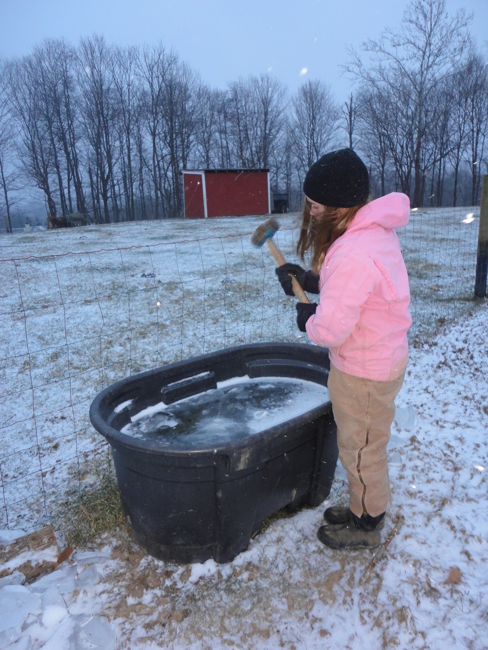 Breaking Ice and Other Winter Farm Chores
