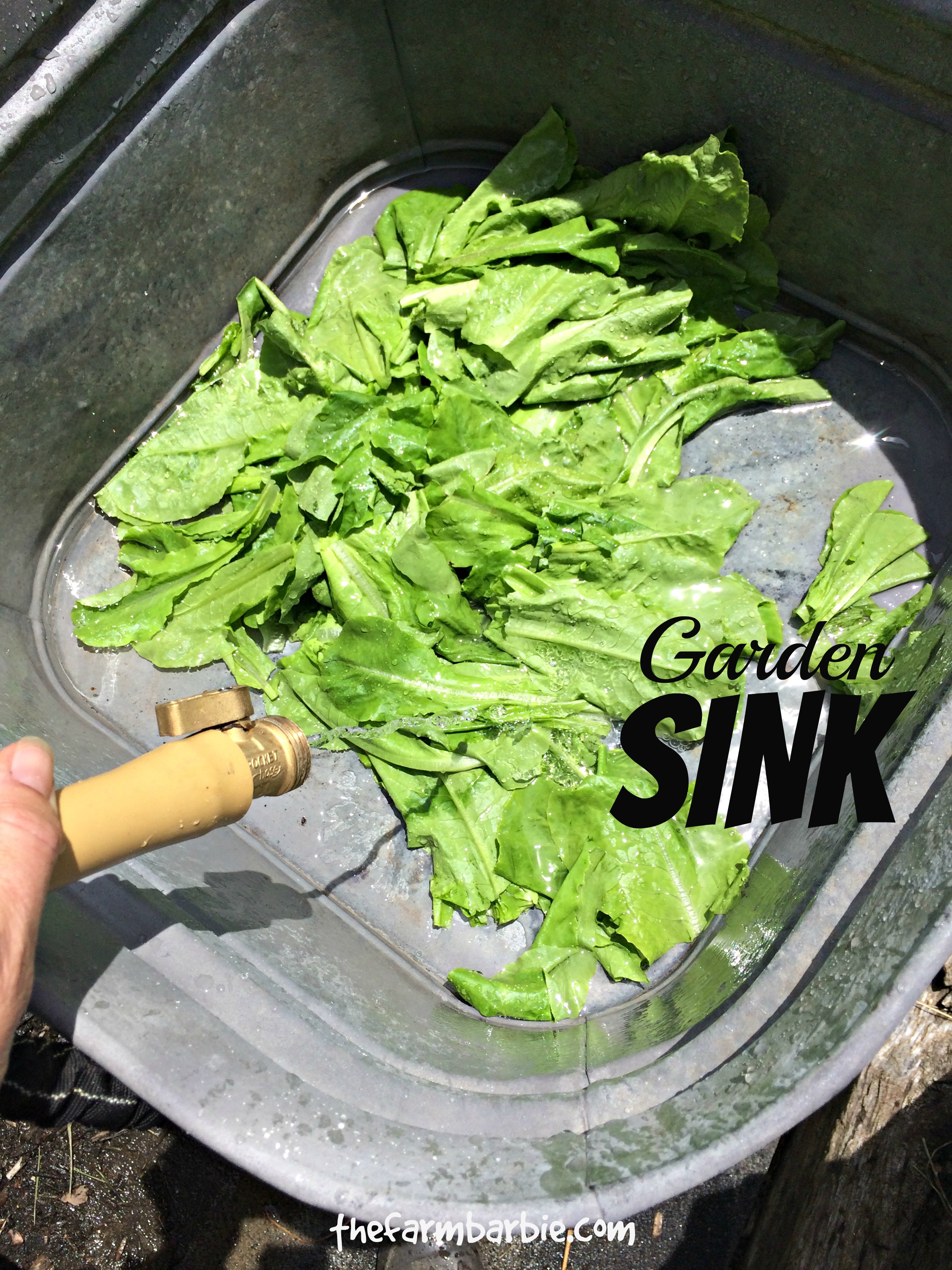 Get Your Food Farm to Table – Faster & Easier With this 1 Simple Trick