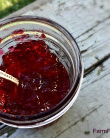 Blackberry Jelly Recipe (to Can or Freeze)
