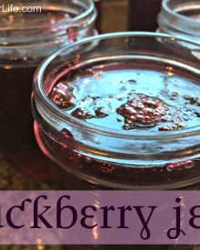 Homemade Blackberry Jelly – Easy Step-by-step Instructions