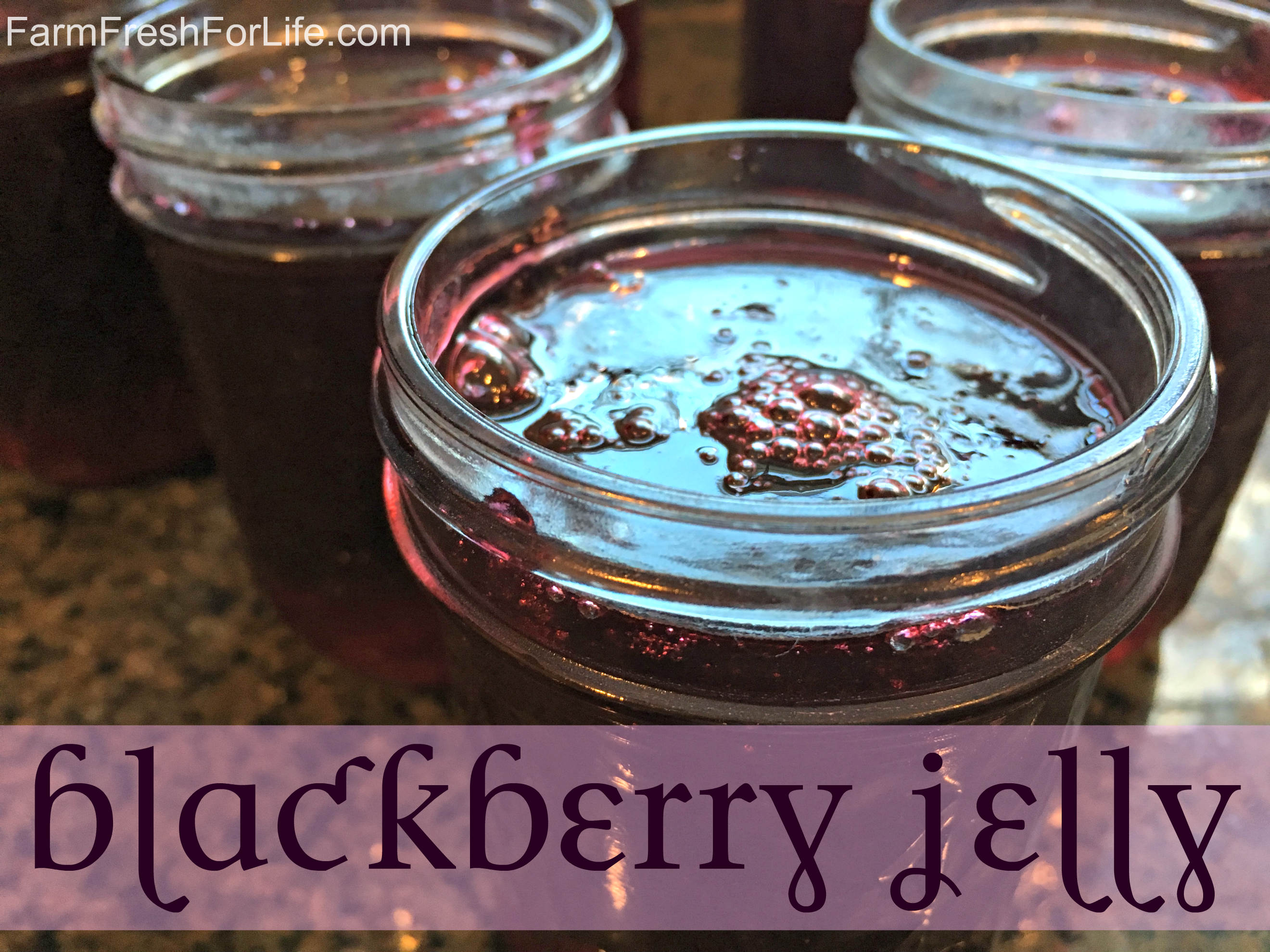 Homemade Blackberry Jelly Easy Step