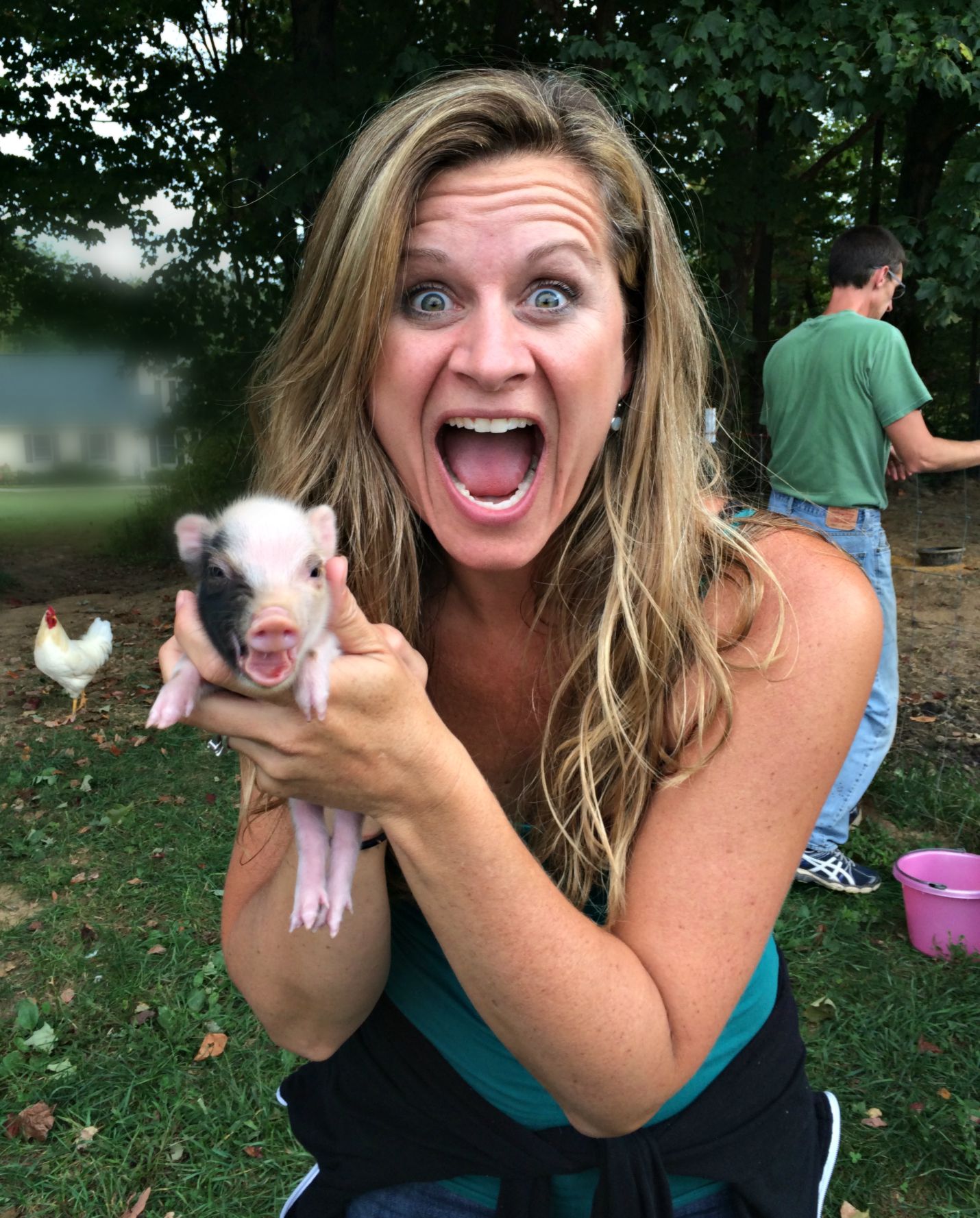 Newborn Potbelly Piglets!!!!!  The first 4 Days….