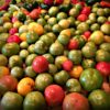 Homesteaders Food Challenge Wrap Up