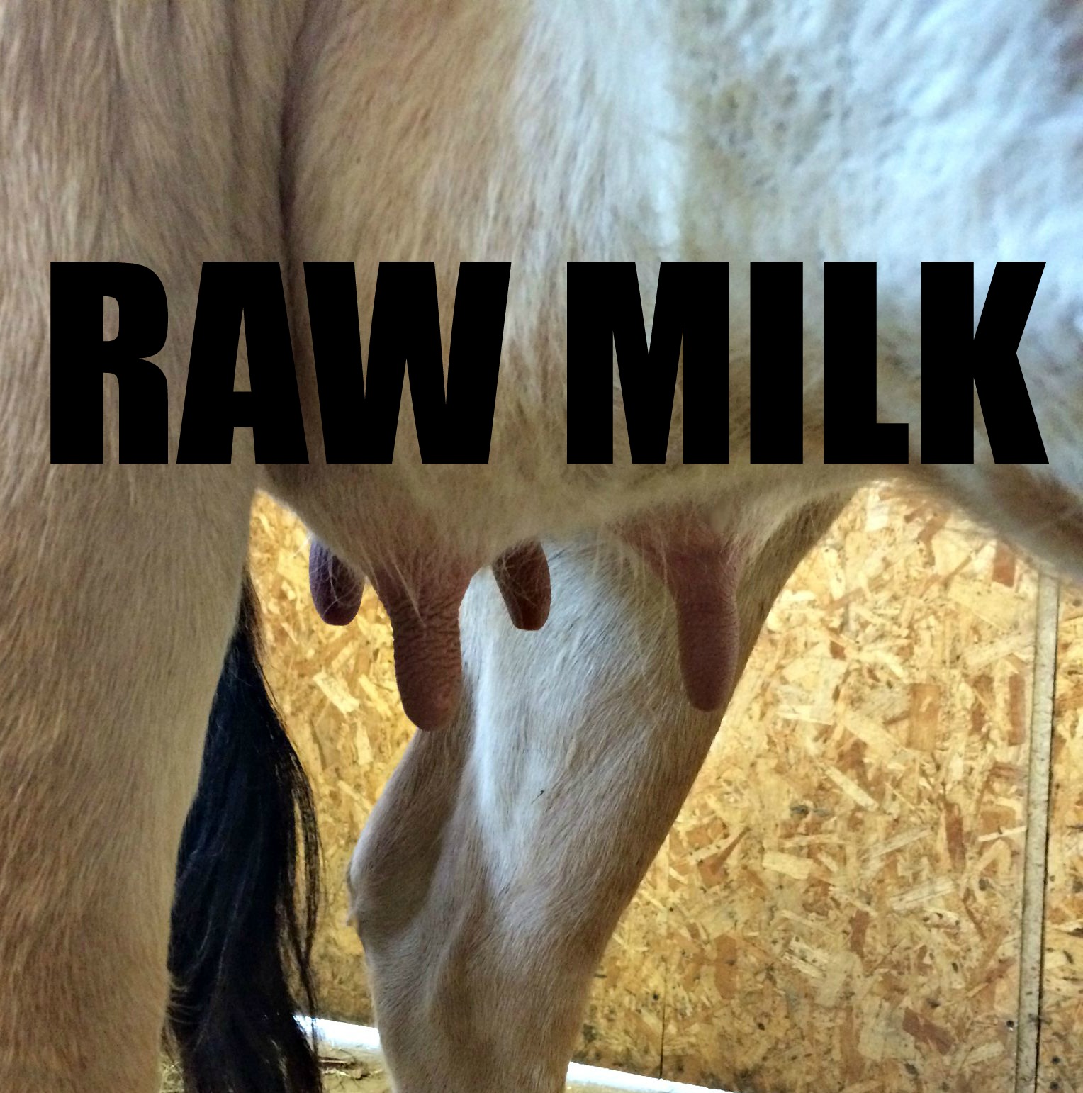 Health Benefits of Raw, Grass-fed, Milk & Dairy Products