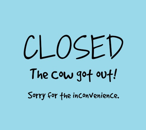 The BULL GOT OUT!!