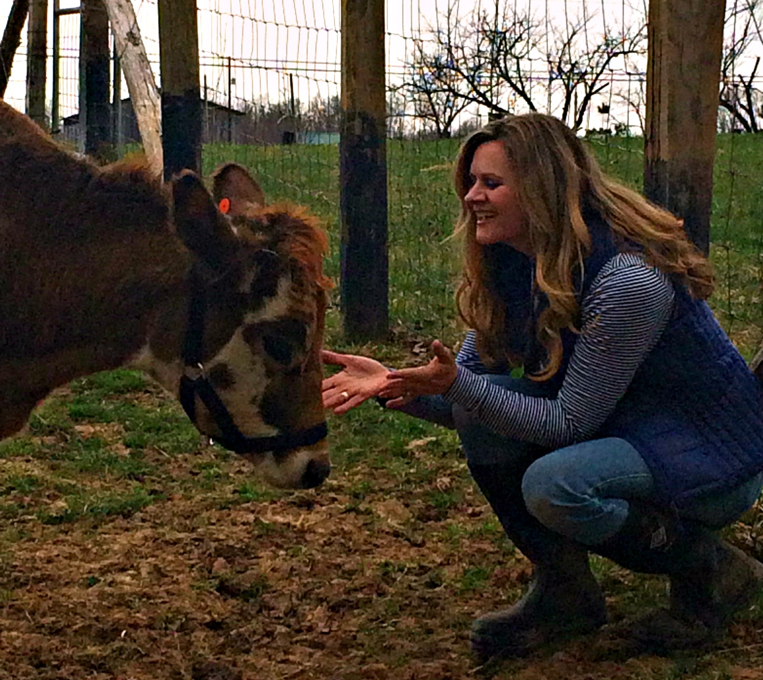 When Your Cow Dies (and life stinks)
