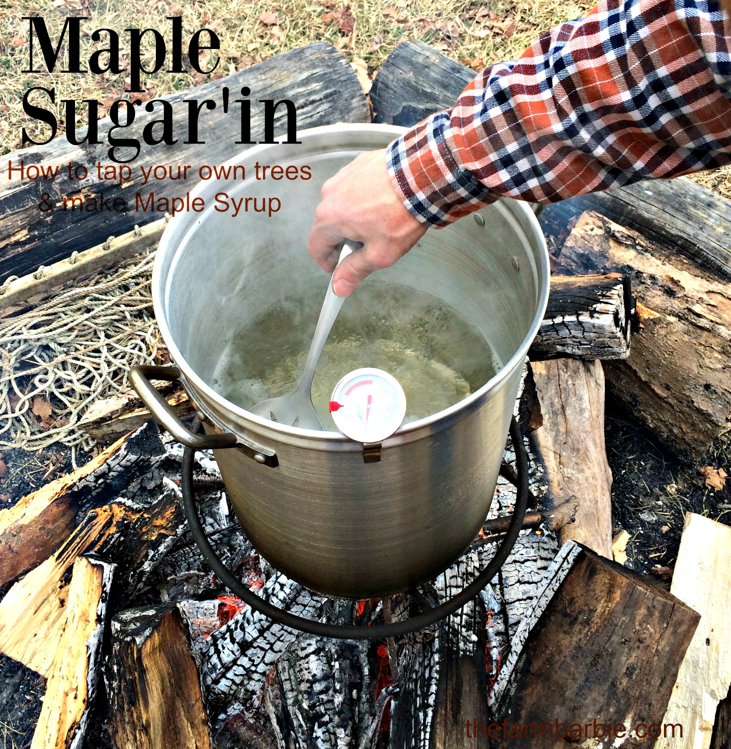 real maple syrup