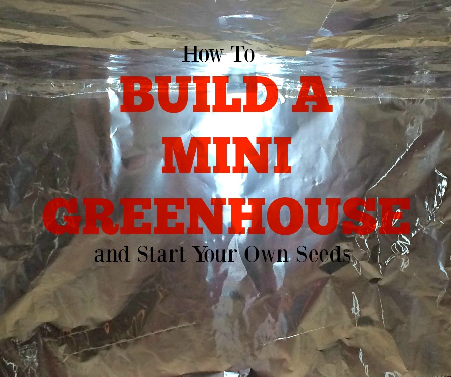 Start Your Seeds Indoors #1 – Building the Light Hut – Easy. Fast. Cheap.
