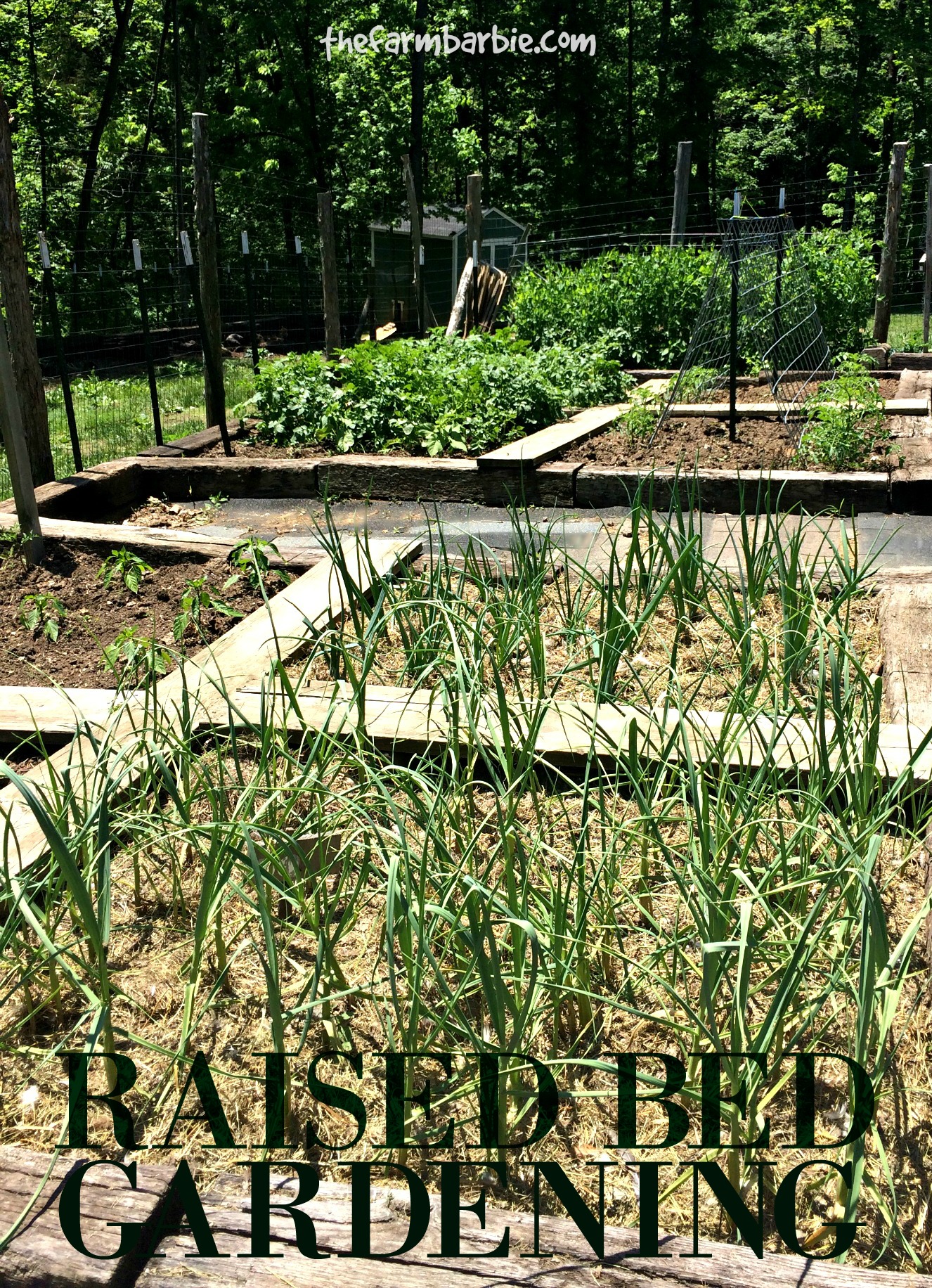 Benefits of Raised Bed Gardening
