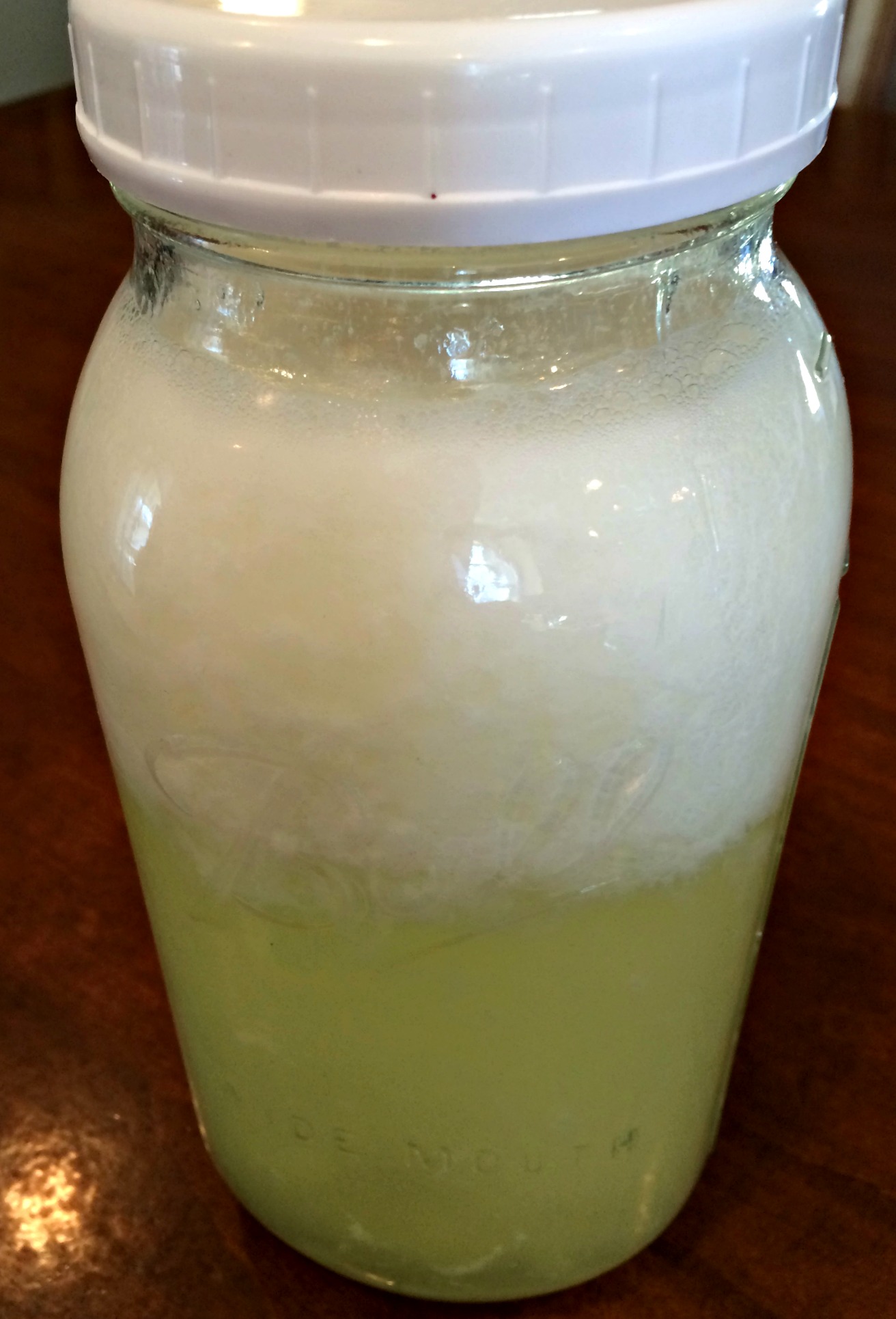 Homemade Laundry Detergent – Farm Fresh For Life – Real Food for Health ...