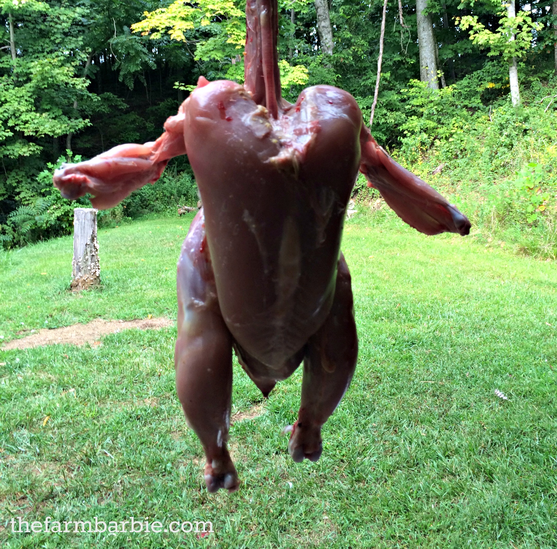 Yes.  All Your Chickens are Gonna Die