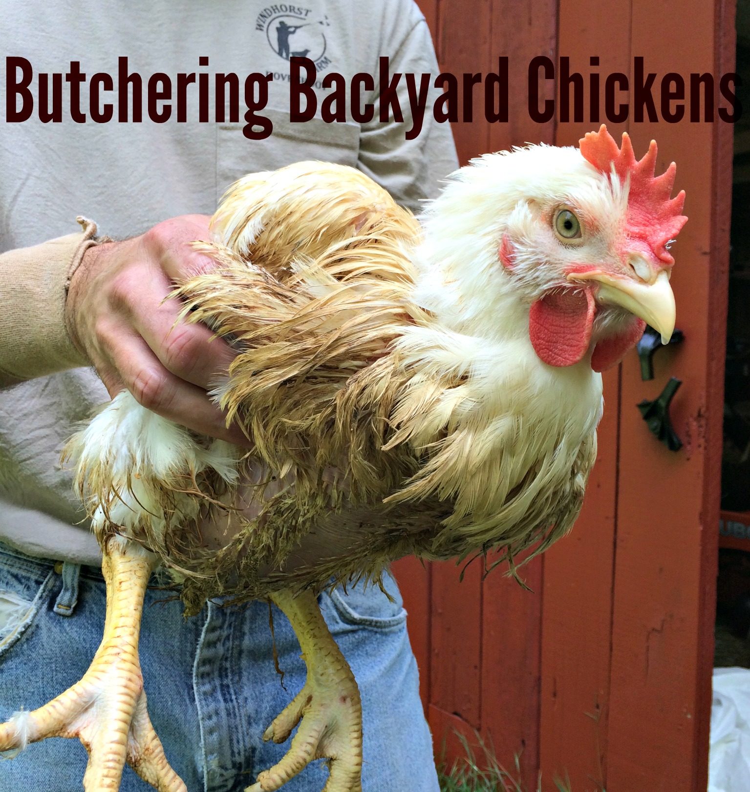 Butchering Backyard Chickens Farm Fresh For Life Real
