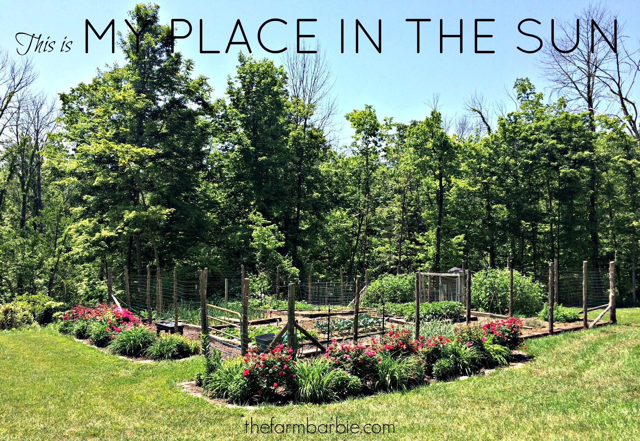 Wanna See My Garden?