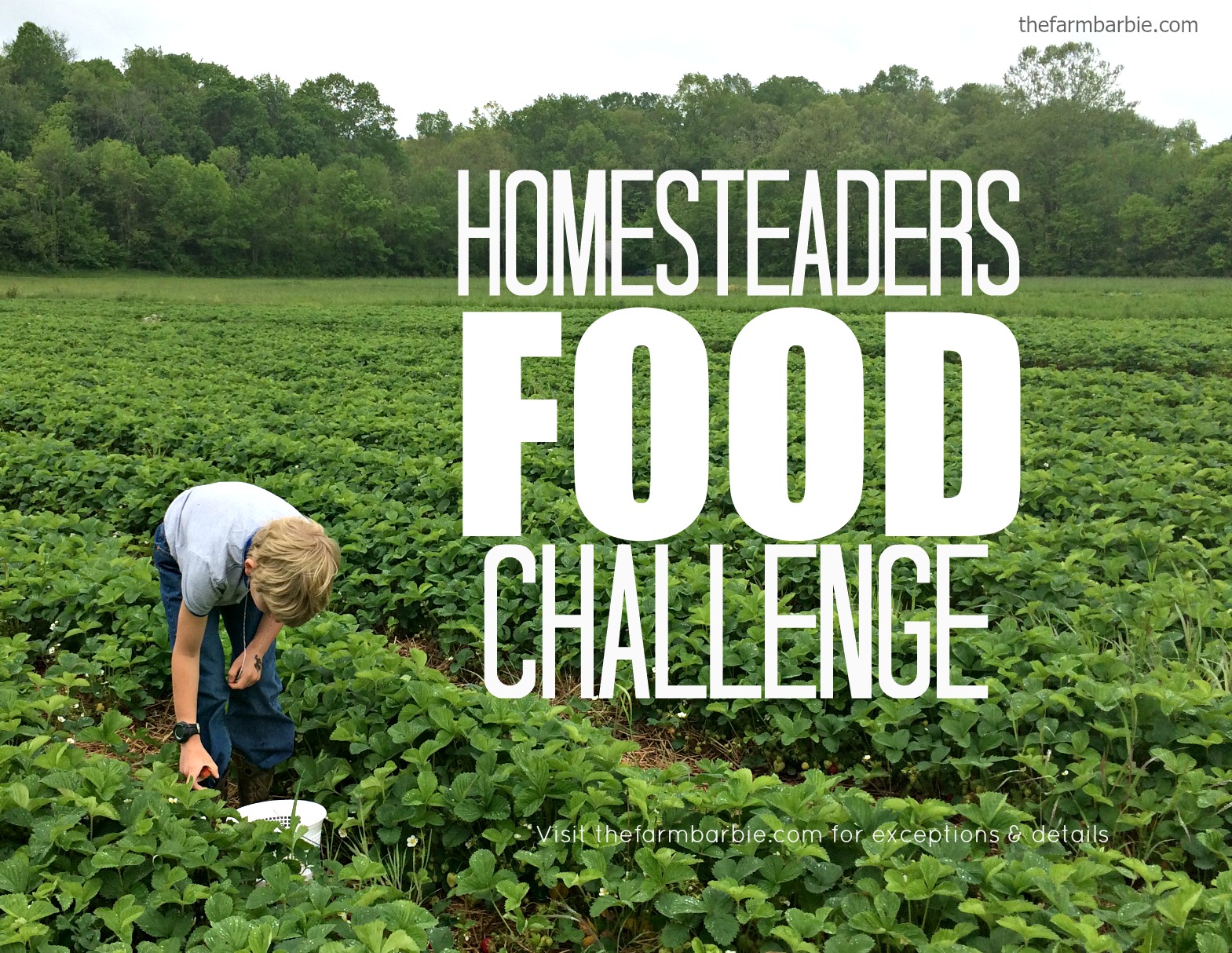 Homesteaders Food Challenge- Week 1