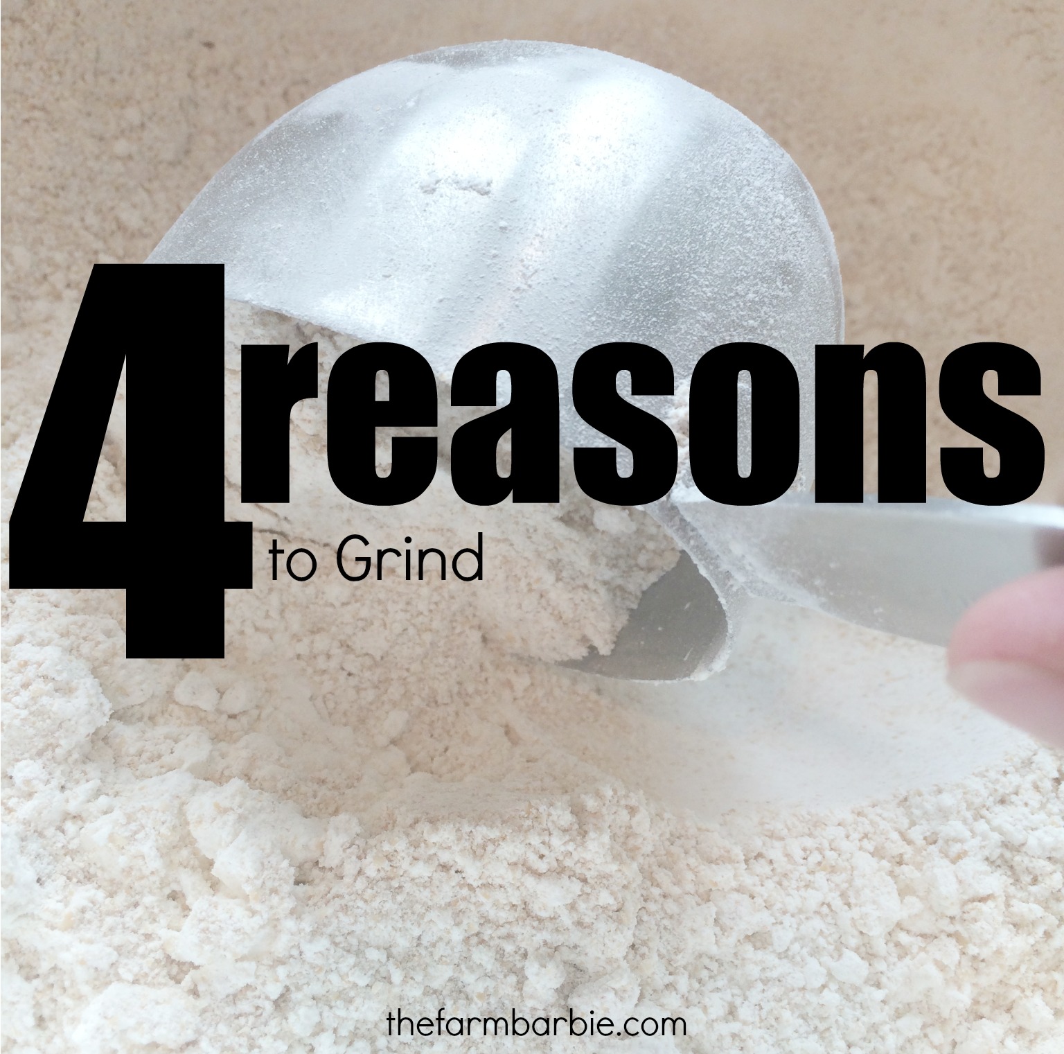 You Should Grind Your Own Flour – 4 HUGE Reasons
