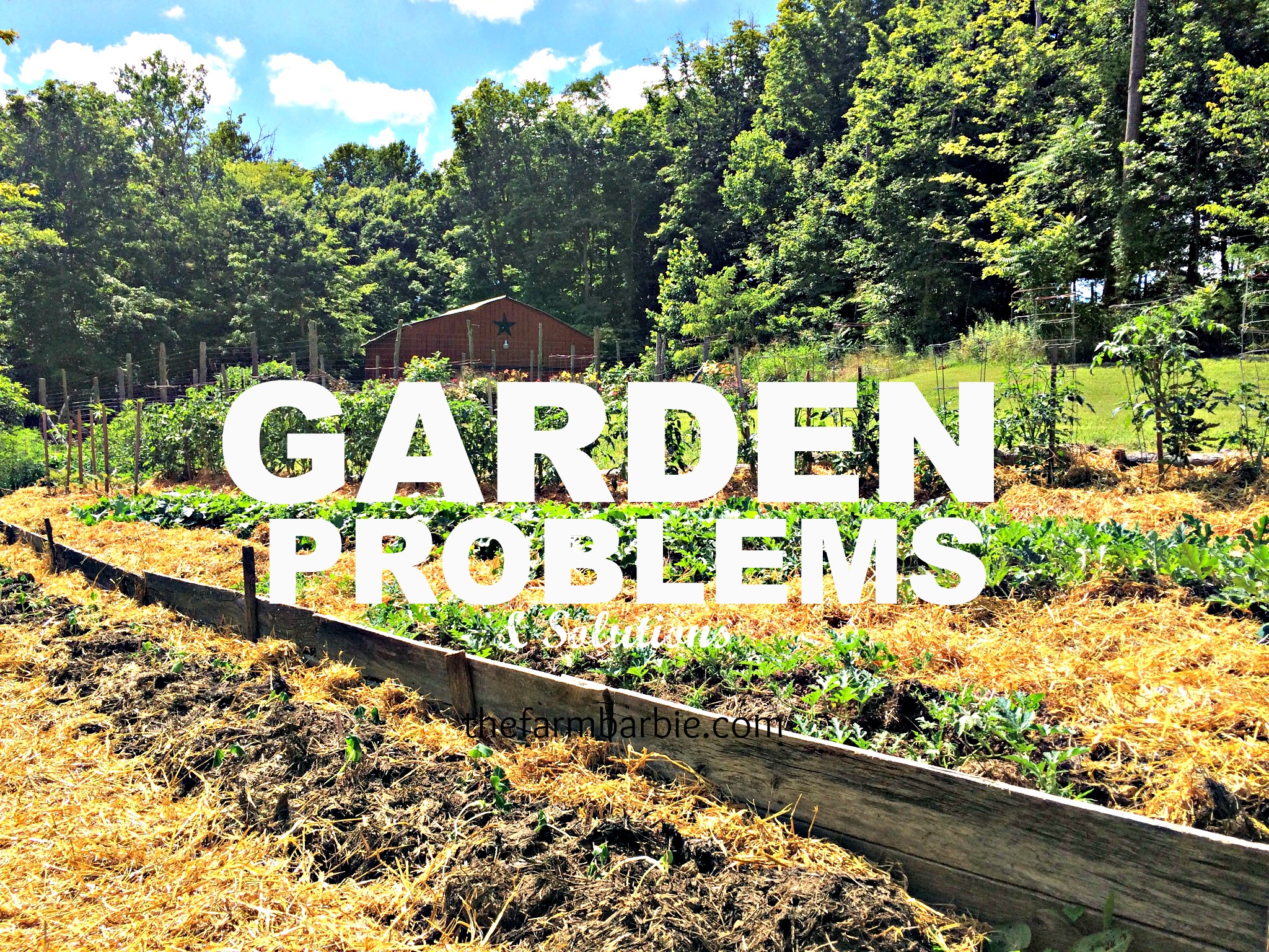 Garden Problems and Solutions