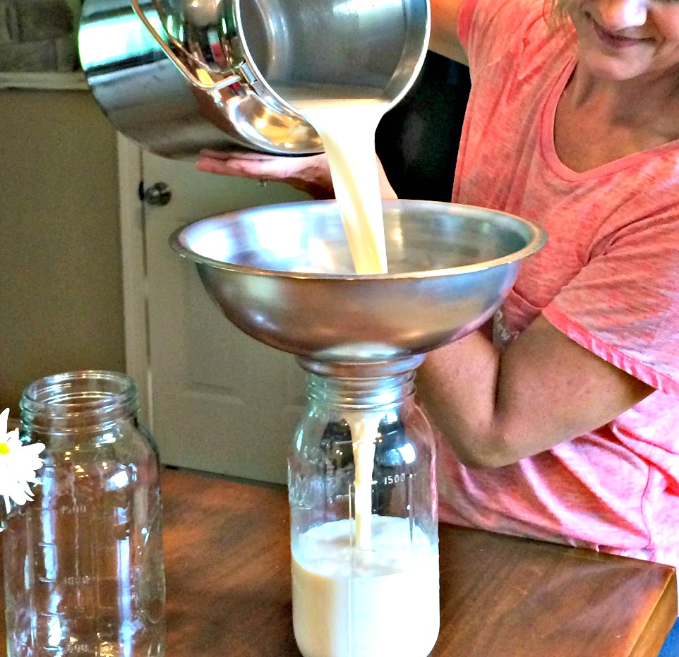 Yes! You Need a Milk Strainer! – Farm Fresh For Life – Real Food for Health  &amp; Wellness