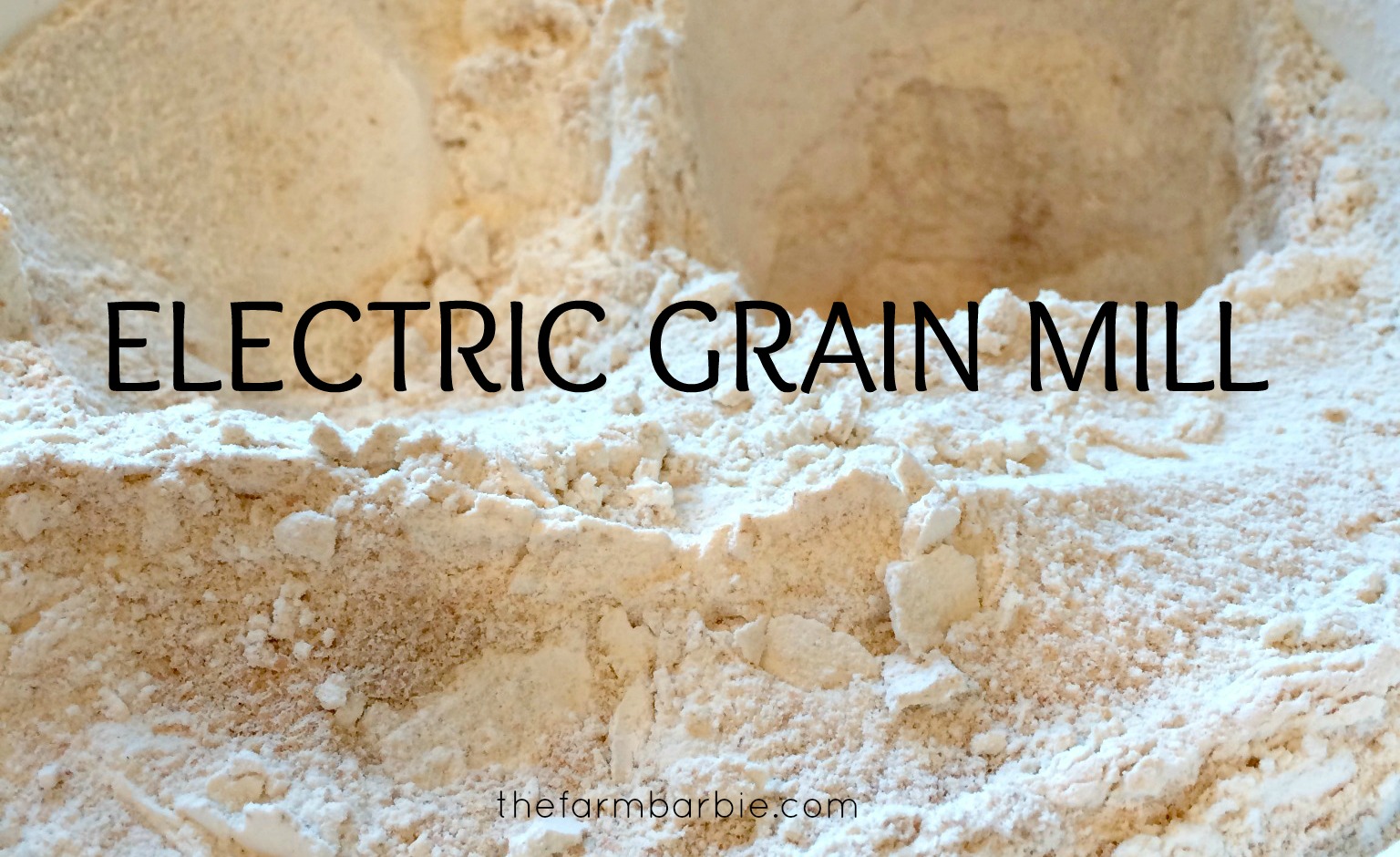 Electric Grain Mill – An Introduction