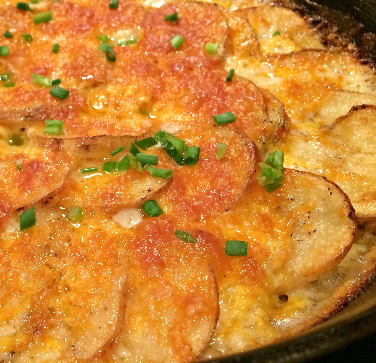 Scalloped Potatoes with Cheese.  Amen.