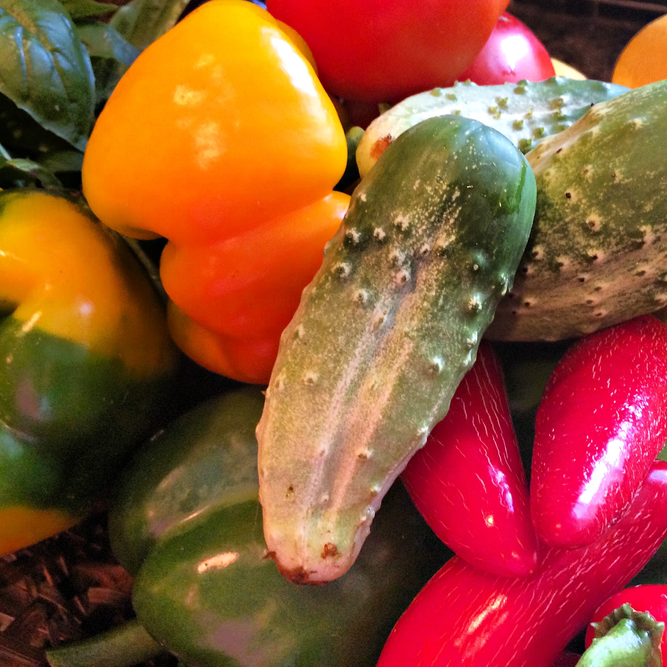 How to Get More Antioxidants