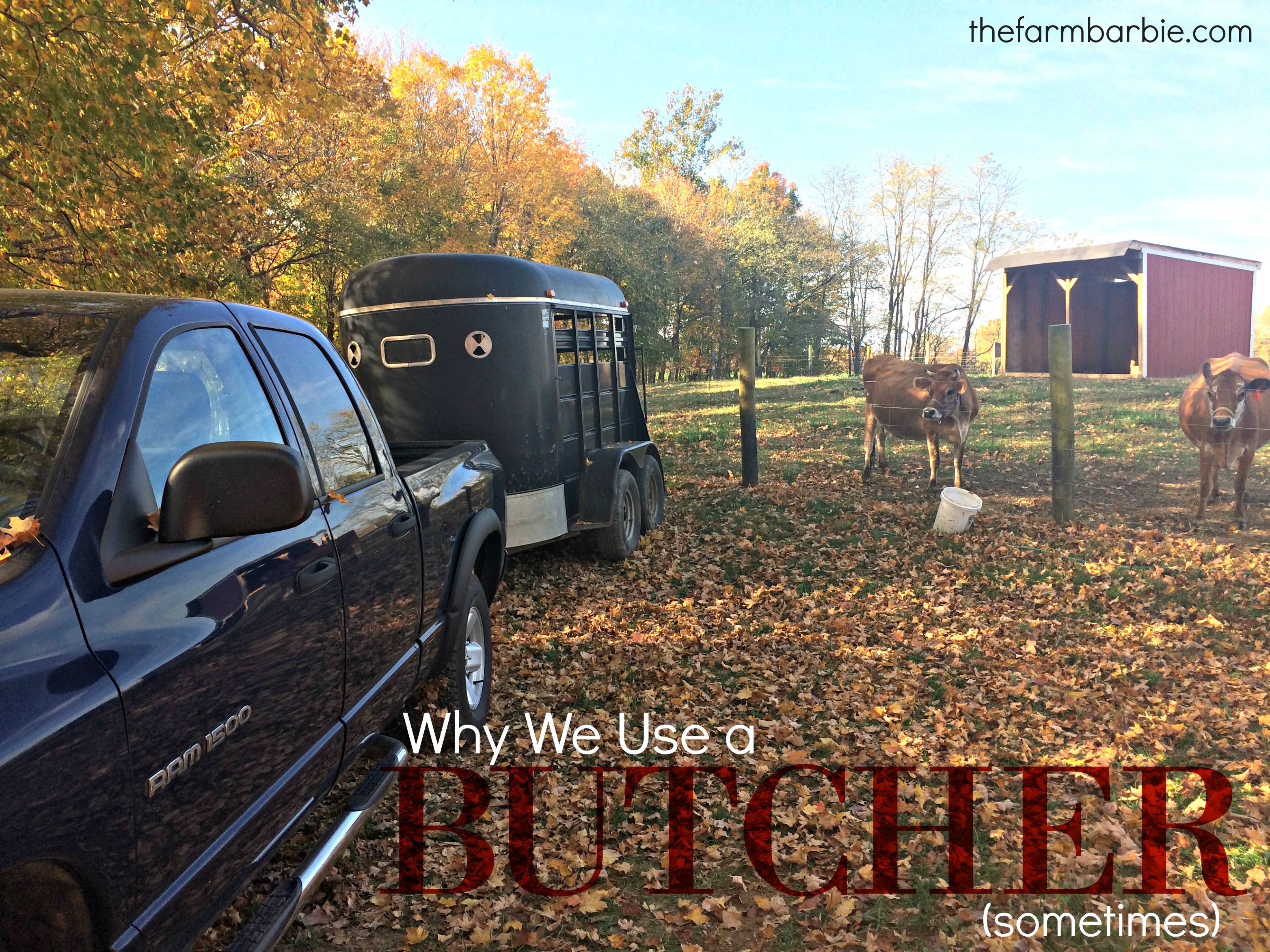 Why We use a Butcher (sometimes)