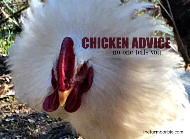 Chicken Advice No One Tells You