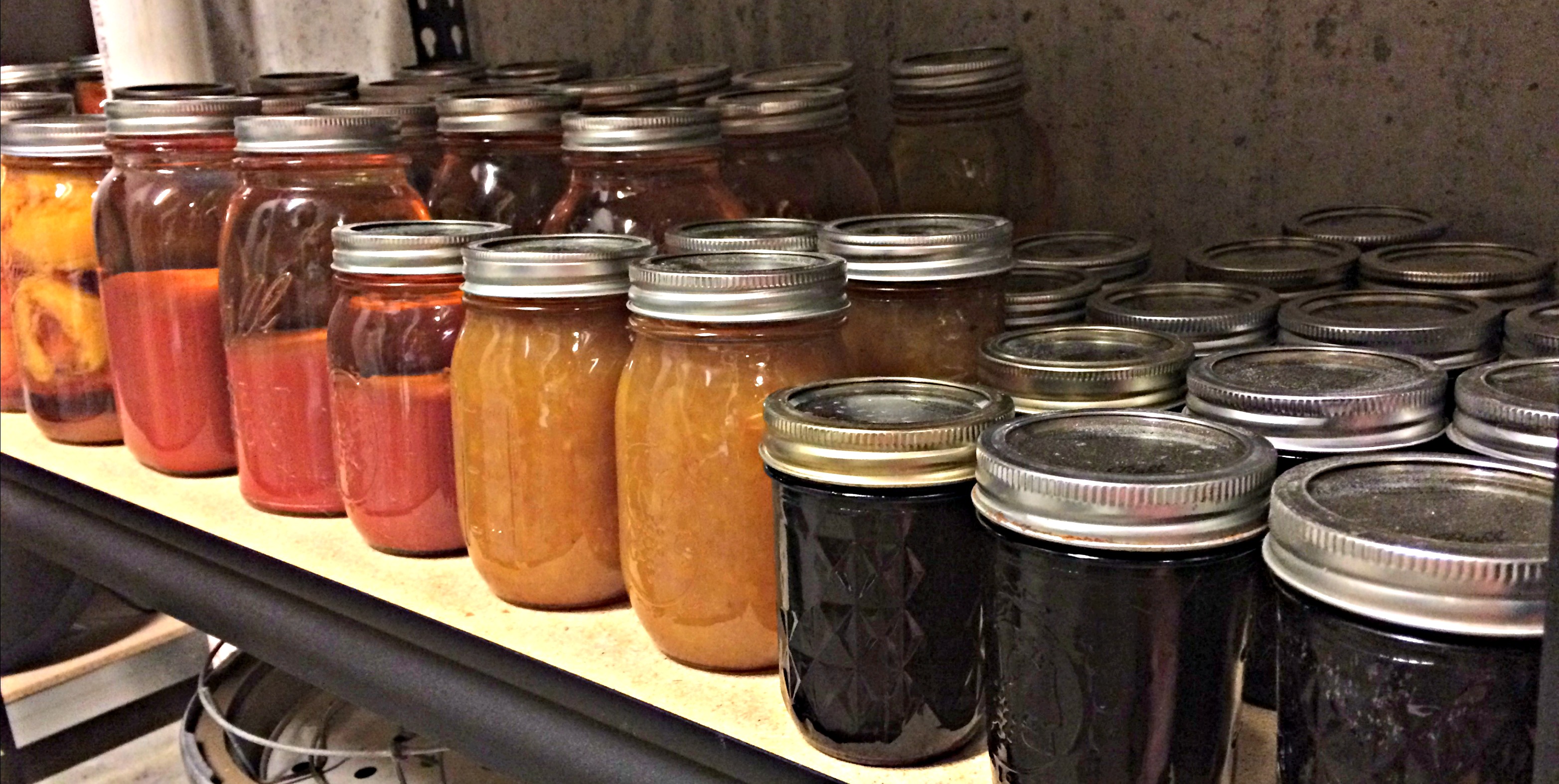 How To Live on Real Food – Survival Tips
