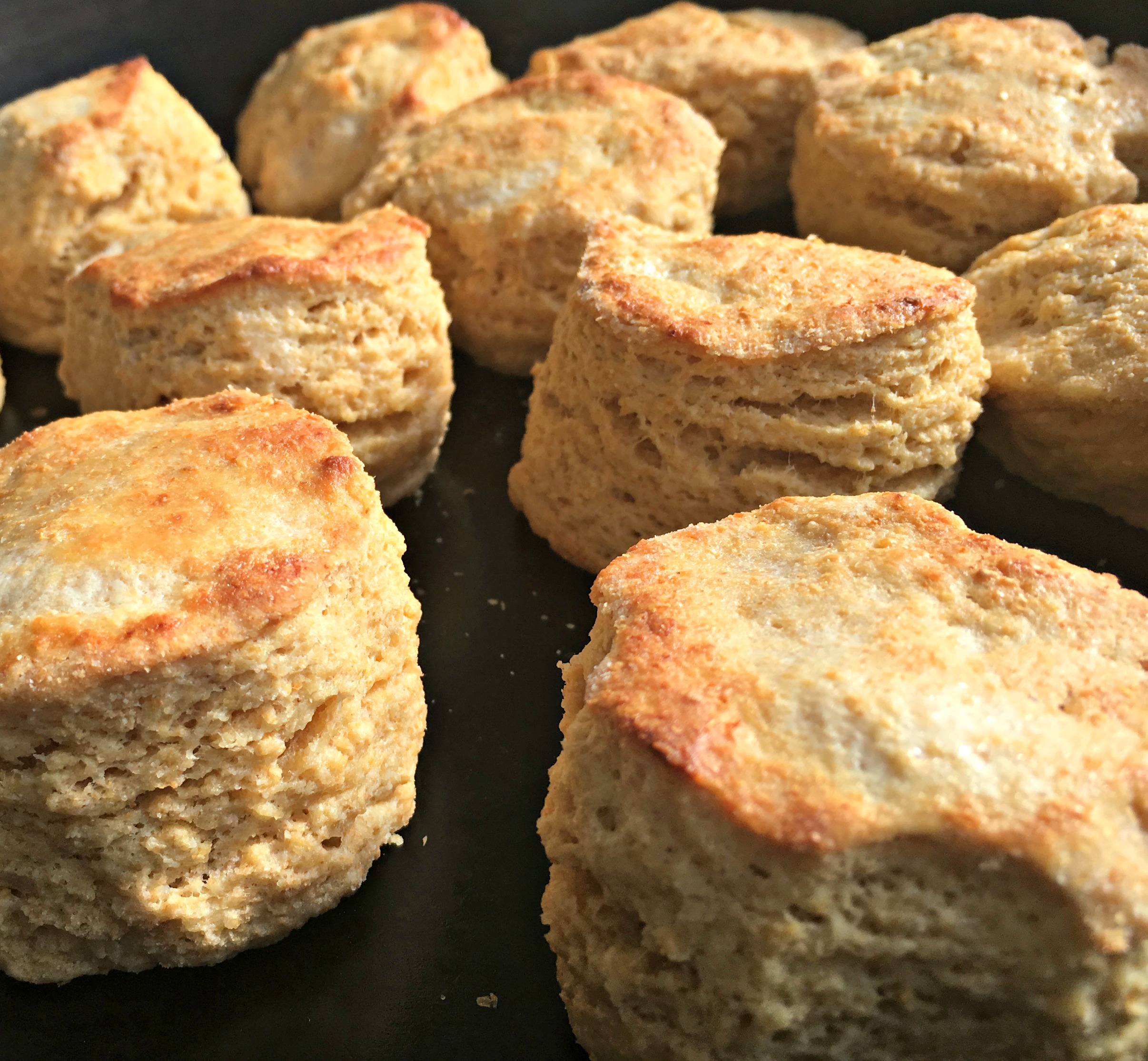 How to Make Homemade Biscuits – Video (Premium)