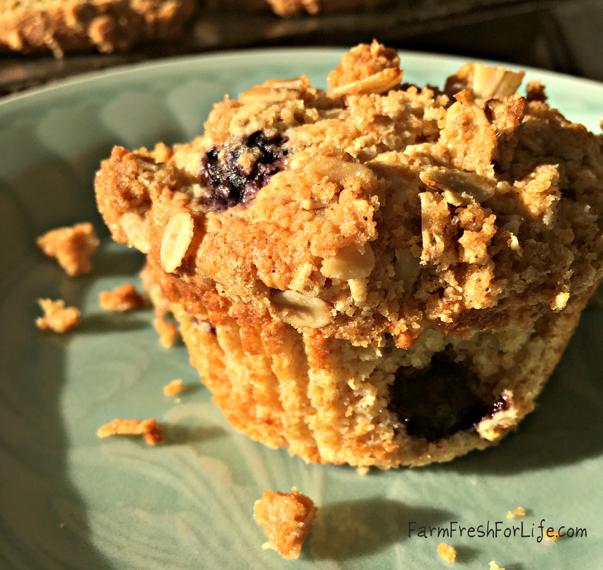 Blueberry Streusel Muffins (Premium)