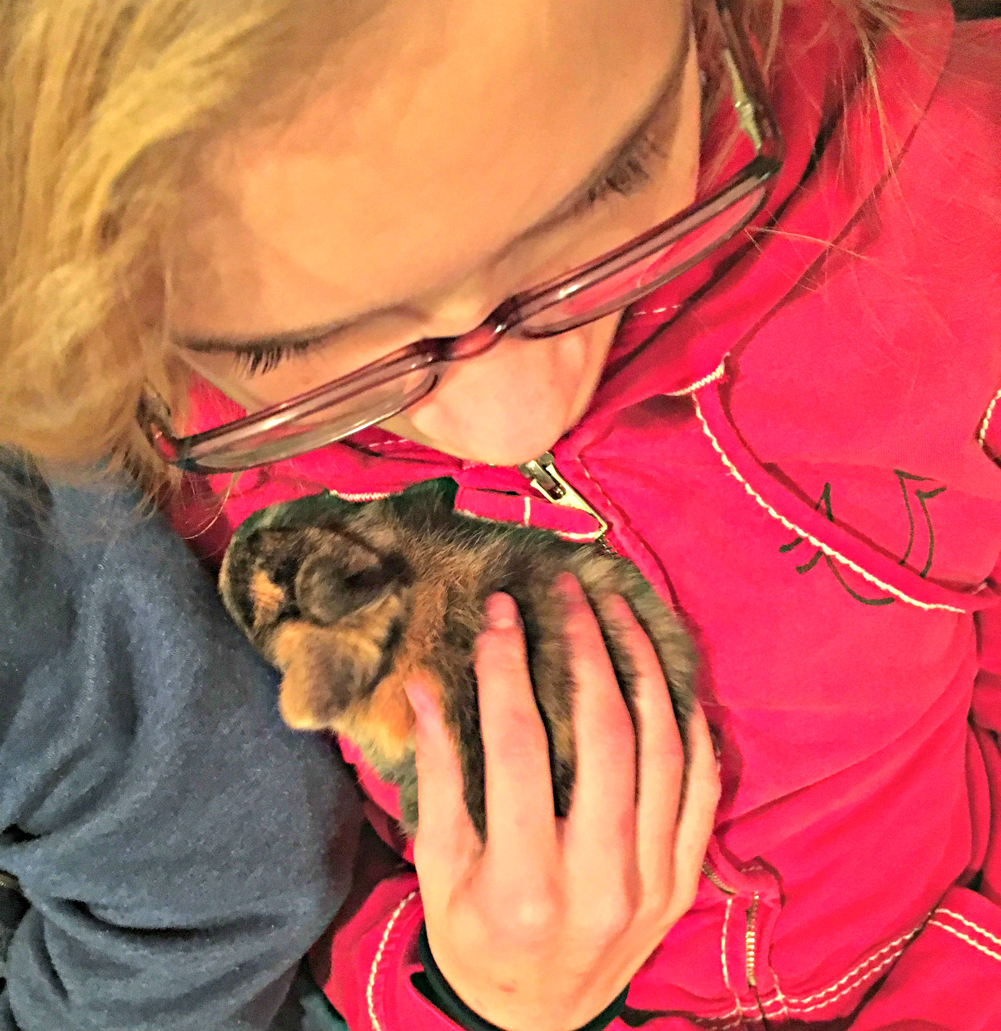 Why Raising Rabbits for Meat is Better Than Chickens (Premium)