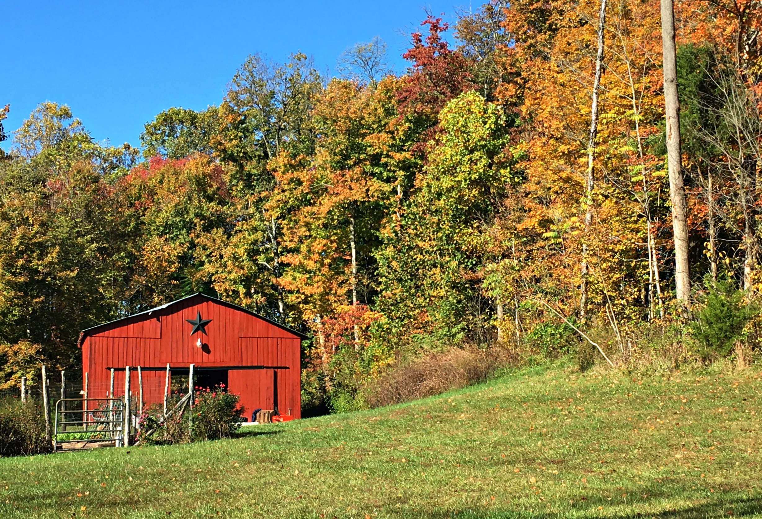 Fighting the Ruts of Homesteading (Premium)