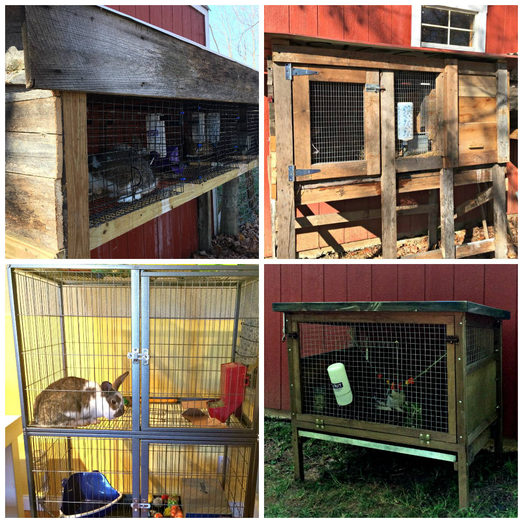 Choosing the Right Bunny Hutch – It’s more Complicated than You Think (Premium)