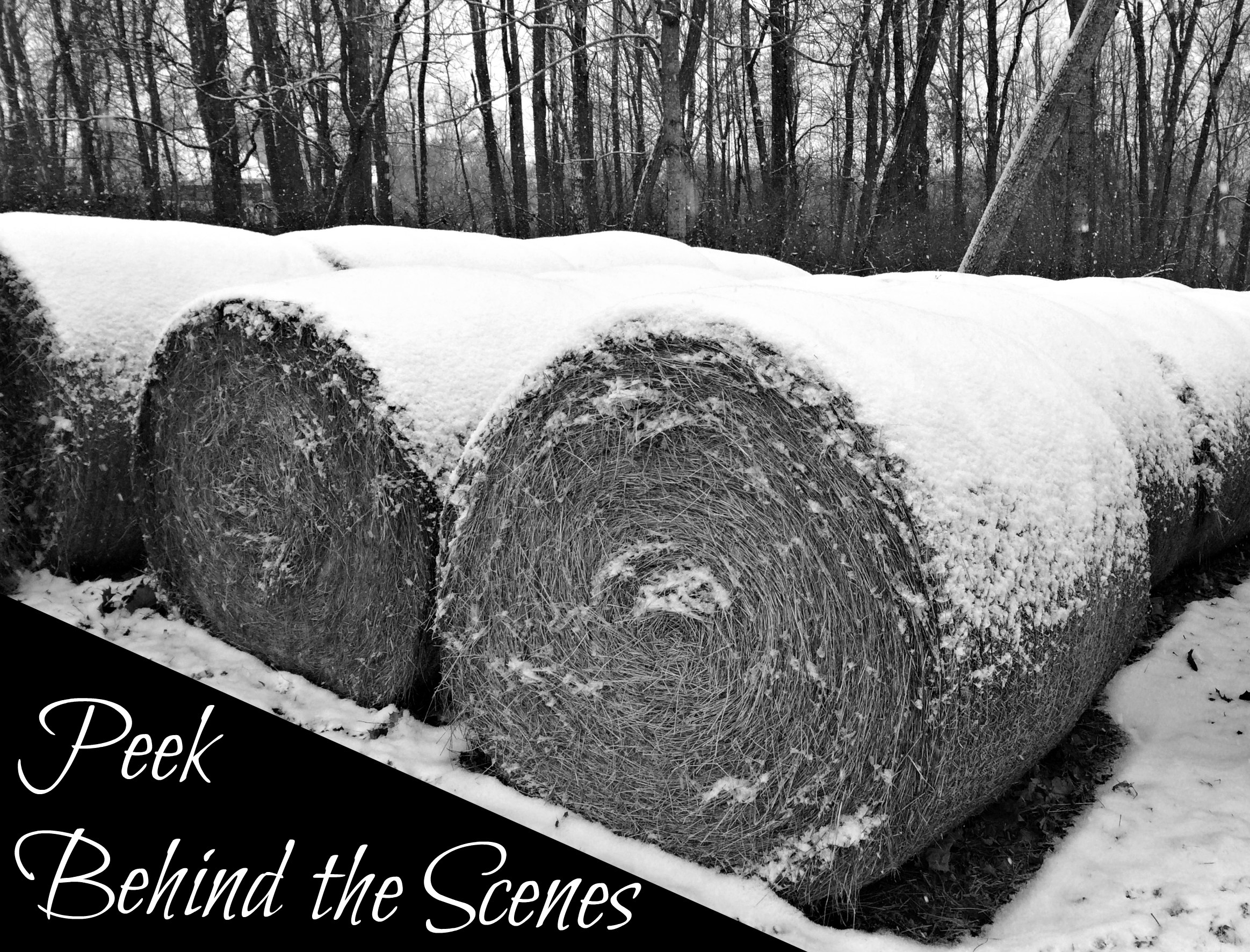 December Peek Behind the Scenes (Premium)
