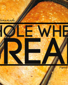 Whole Wheat Bread (Premium)