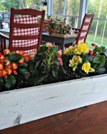 Garden Like a Master – Introduction to Container Gardening
