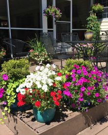 Garden Like a Master – 3 Secrets to Successful Container Gardens (Premium)