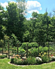 Surprising Benefits from Gardening – It’s more than Fresh Produce