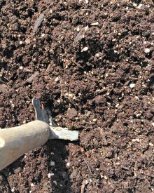 How to Make Potting Soil