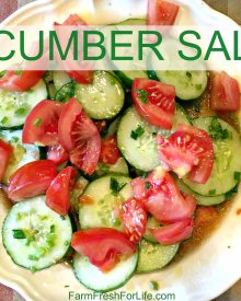 Marinated Cucumber Salad (Premium)