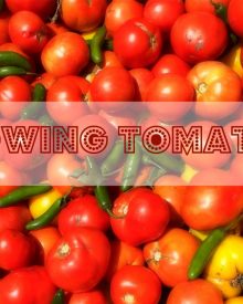 Garden like a Master:  Growing Your Best Tomatoes Ever (Premium)