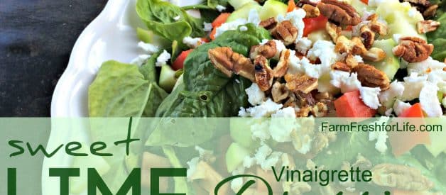 Sweet Lime Vinaigrette Dressing (Premium)
