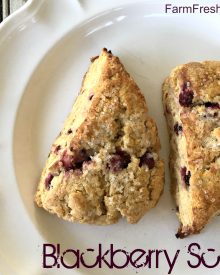 Blackberry Scones (Premium)