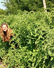 Grow Your Own Organic Gardening  Summer Garden (13) Growing Your BEST Tomatoes Ever (Part 1)