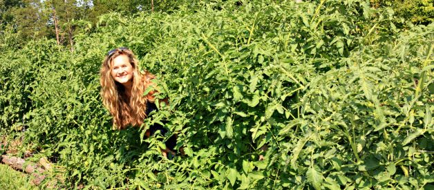Grow Your Own Organic Gardening  Summer Garden (13) Growing Your BEST Tomatoes Ever (Part 1)